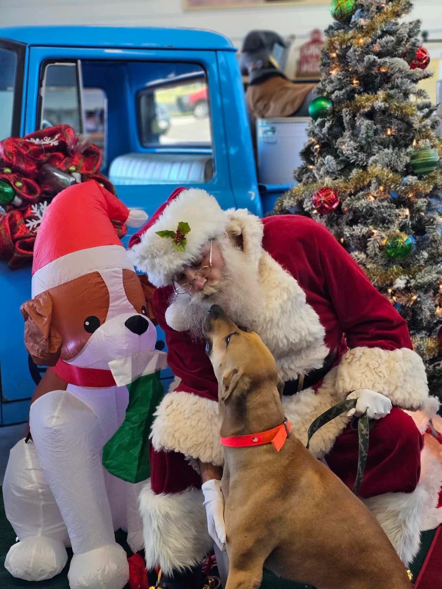 Santa sharing a gentle Christmas moment with a dog beside a decorated tree